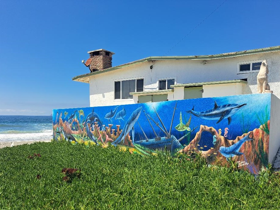 Sea Mural Painting